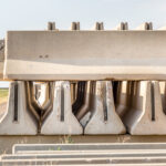 Wolf Paragliding Service